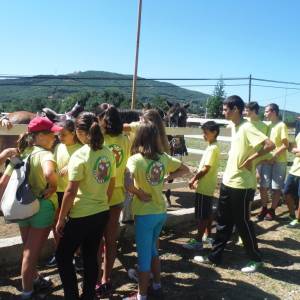 Resumen campamento 2014