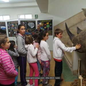 Campamento de inglés en León - Verano 2013