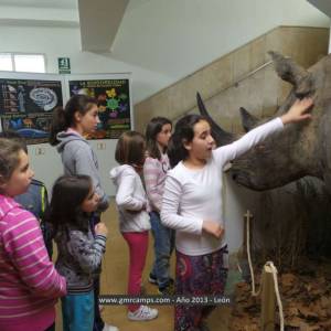 Campamento de inglés en León - Verano 2013