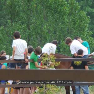 Campamento de inglés en León - Verano 2013