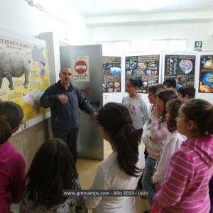 Campamento de inglés en León - Verano 2013