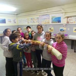 Campamento de inglés en León - Verano 2013