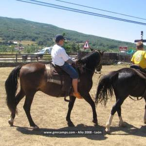 Campamentos de inglés en León 2008