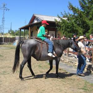 Campamento de inglés 2011