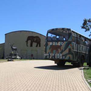 Campamento de inglés 2011