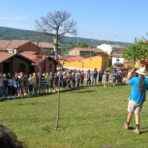 dias de registro en campamento