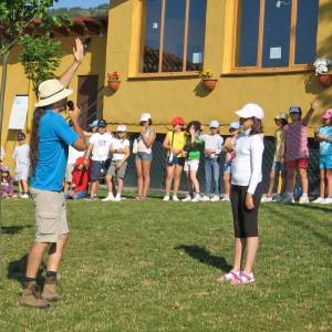 dias de registro en campamento