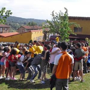 dias de registro en campamento